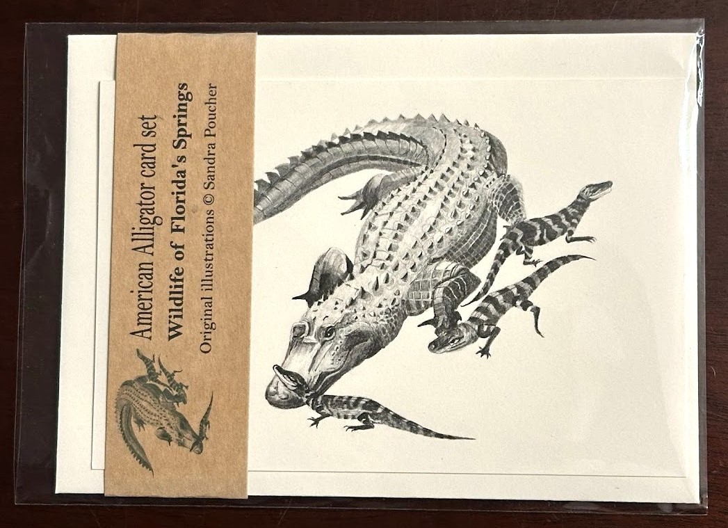 alligator family card